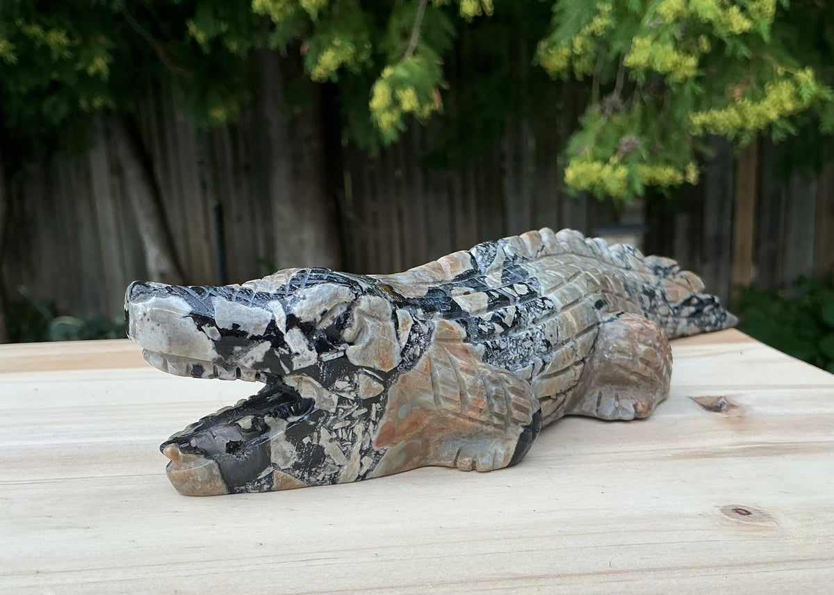 Natural Volcano Agate Crocodile/Alligator Carving