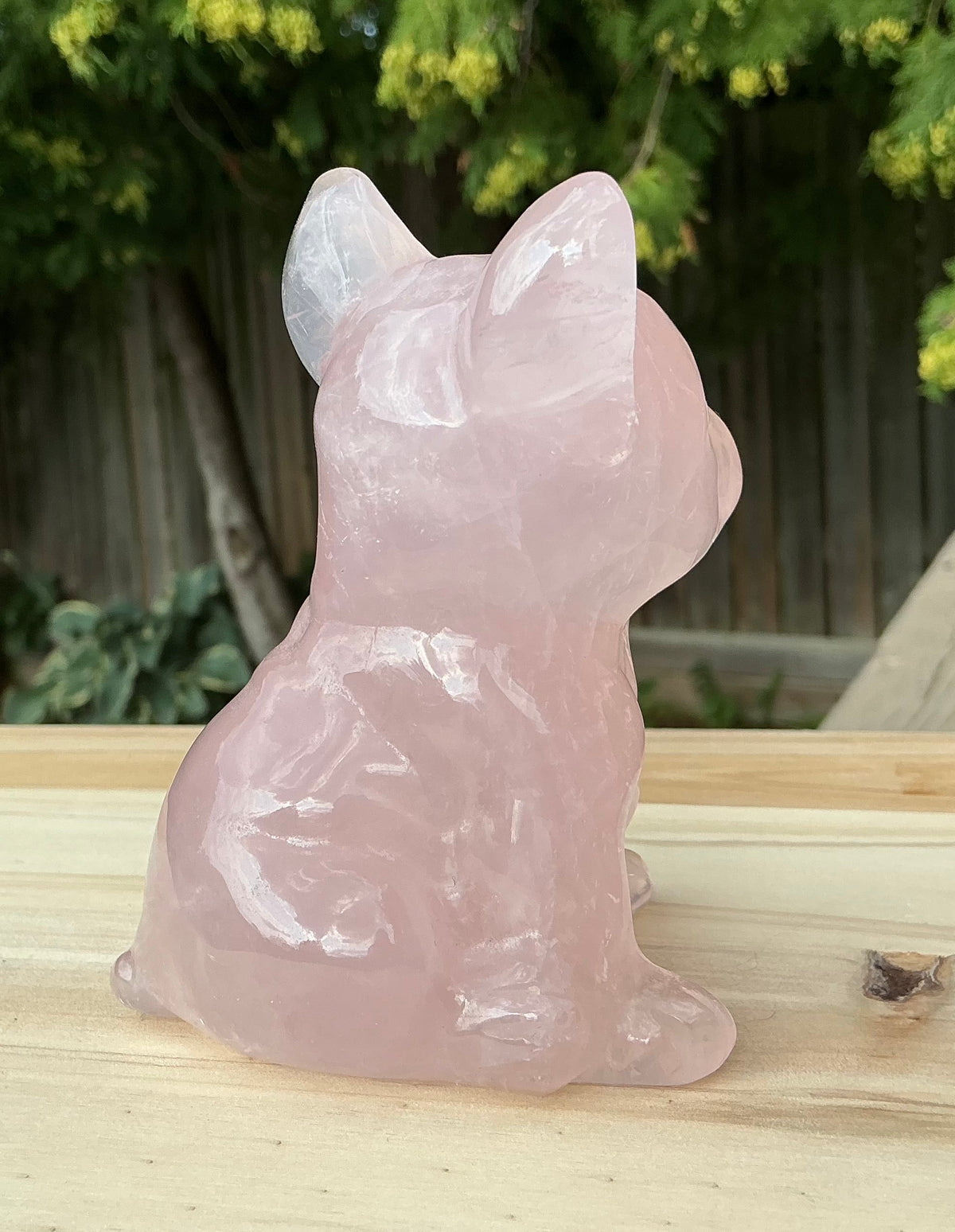 Adorable Natural Rose Quartz French Bulldog Carving