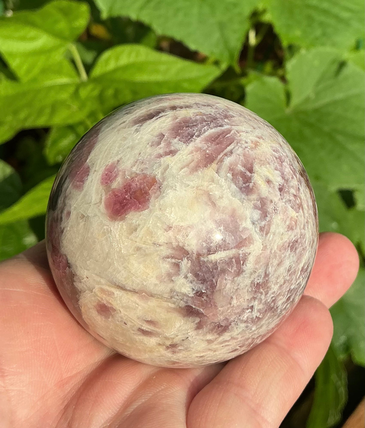 Pink Tourmaline Medium Sphere 60mm