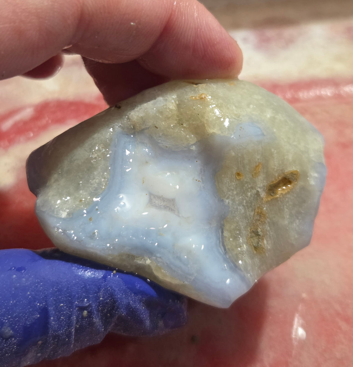 Handmade Blue Lace Agate Dolphin Carving