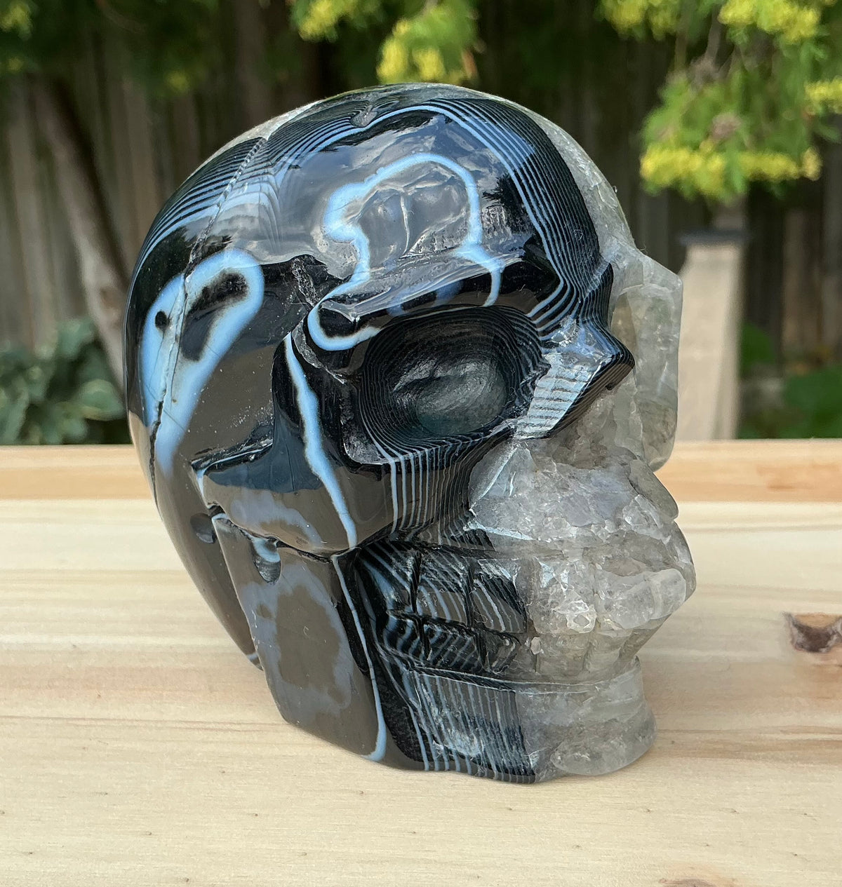 Unique Black Banded Agate Skull 1.5 lbs