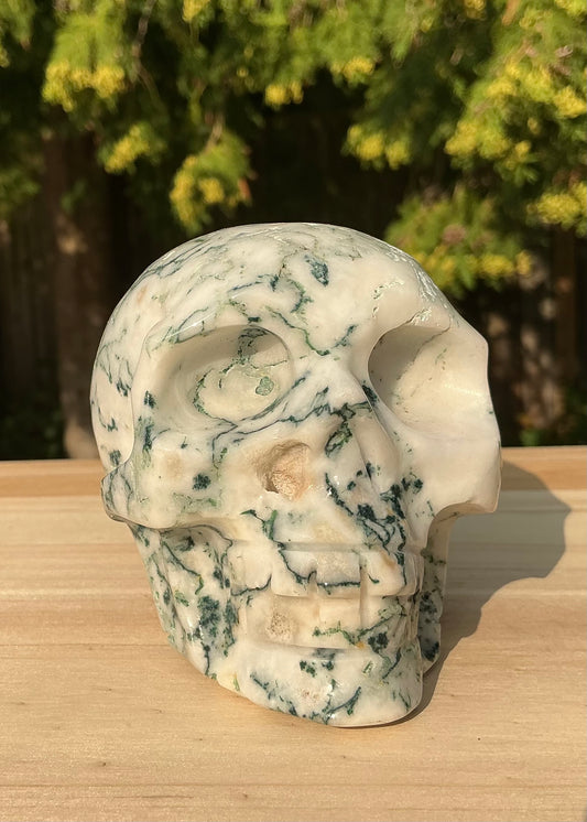 Natural Moss Agate Medium Skull- Unique Textured/Raw Areas