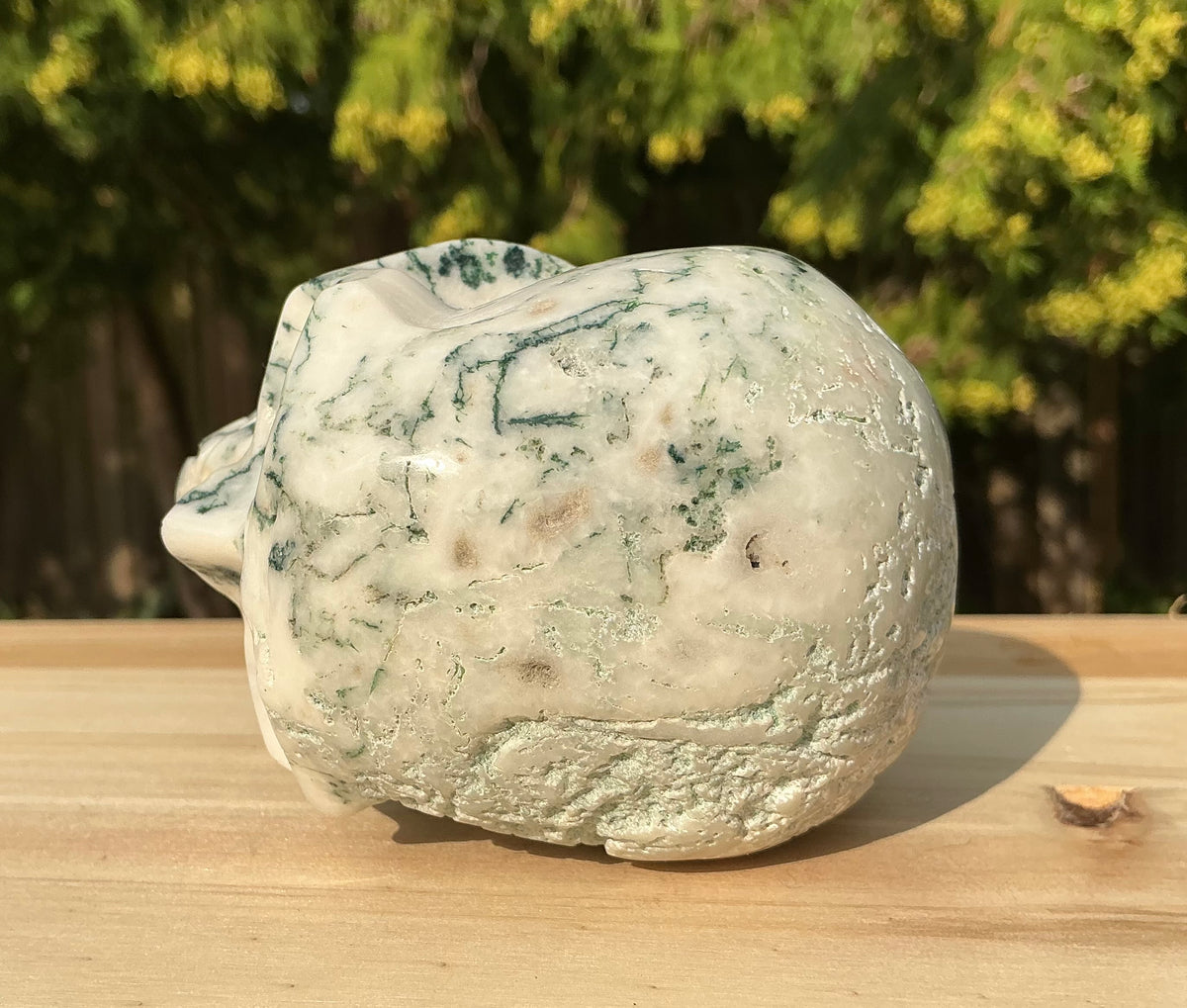 Natural Moss Agate Medium Skull- Unique Textured/Raw Areas