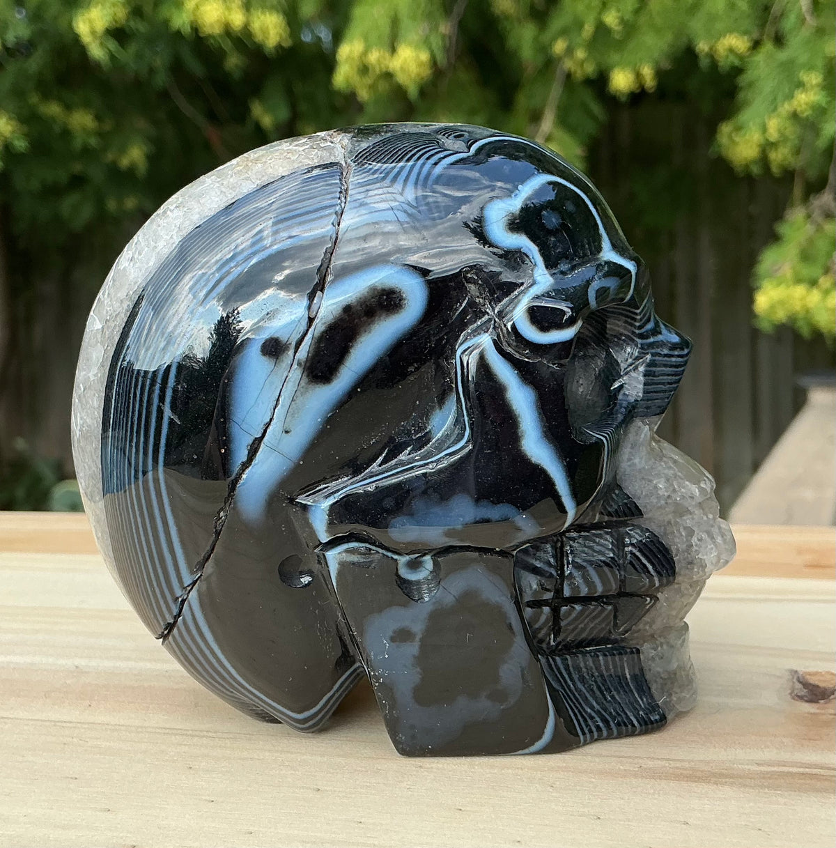 Unique Black Banded Agate Skull 1.5 lbs