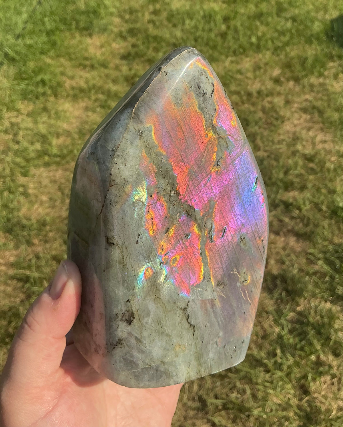Purple Sunset Flashy Labradorite Freeform 2.6kg
