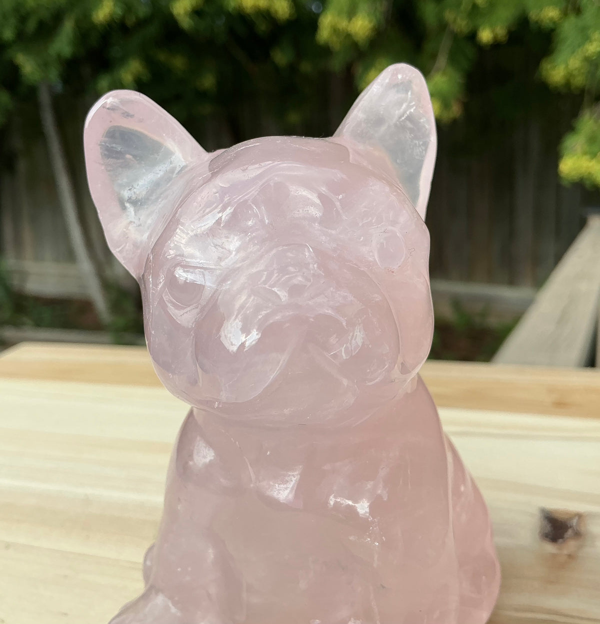 Adorable Natural Rose Quartz French Bulldog Carving