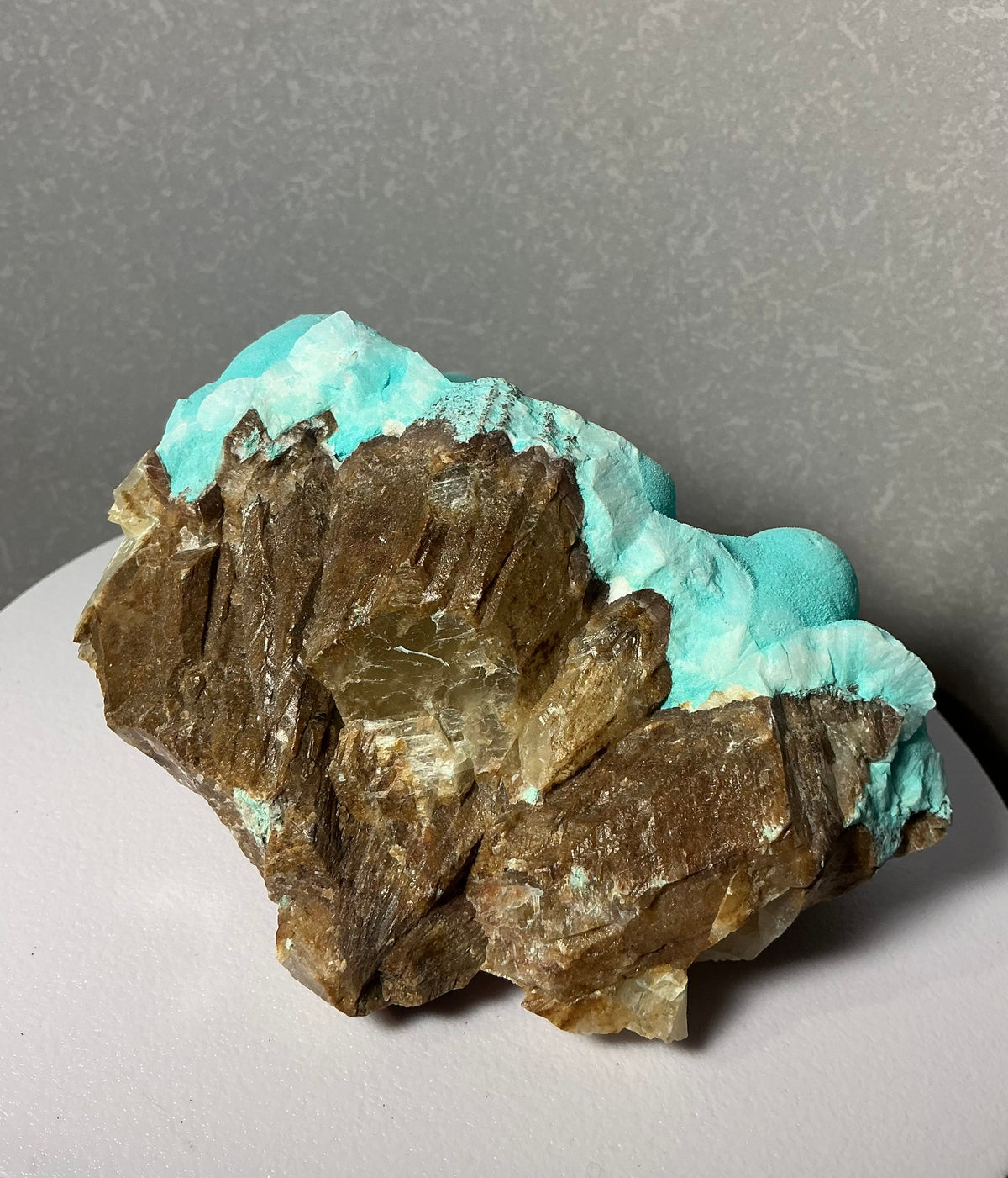 RARE Top Quality Vibrant Botryoidal Natural Hemimorphite Specimen 350g