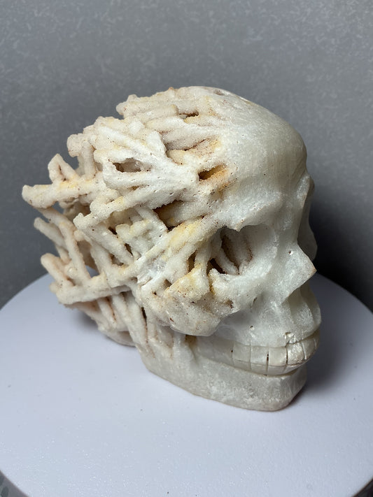 *RARE* Natural Tube/Bird's Nest Agate Druzy Skull Carving