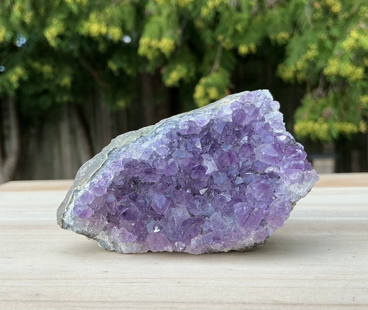 Mini Natural Amethyst Cluster