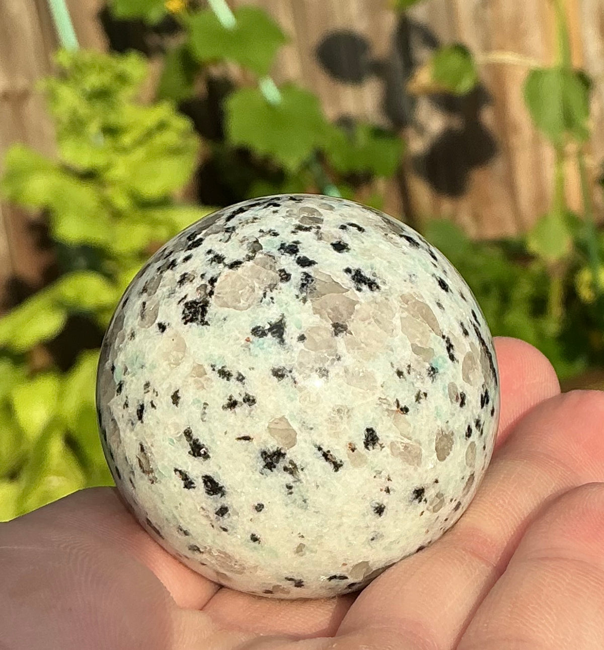 Cute Small Kiwi Jasper Crystal Sphere 40mm