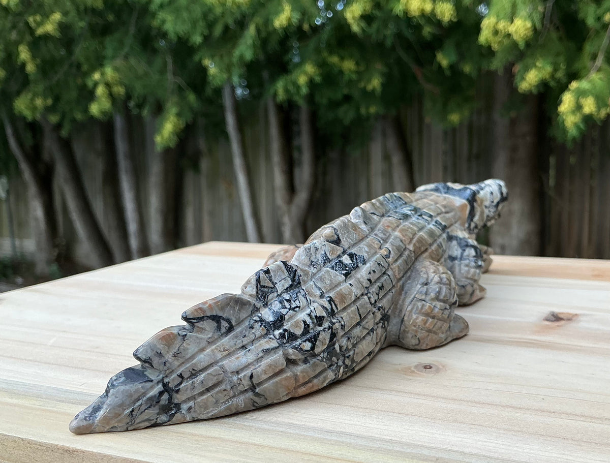 Natural Volcano Agate Crocodile/Alligator Carving