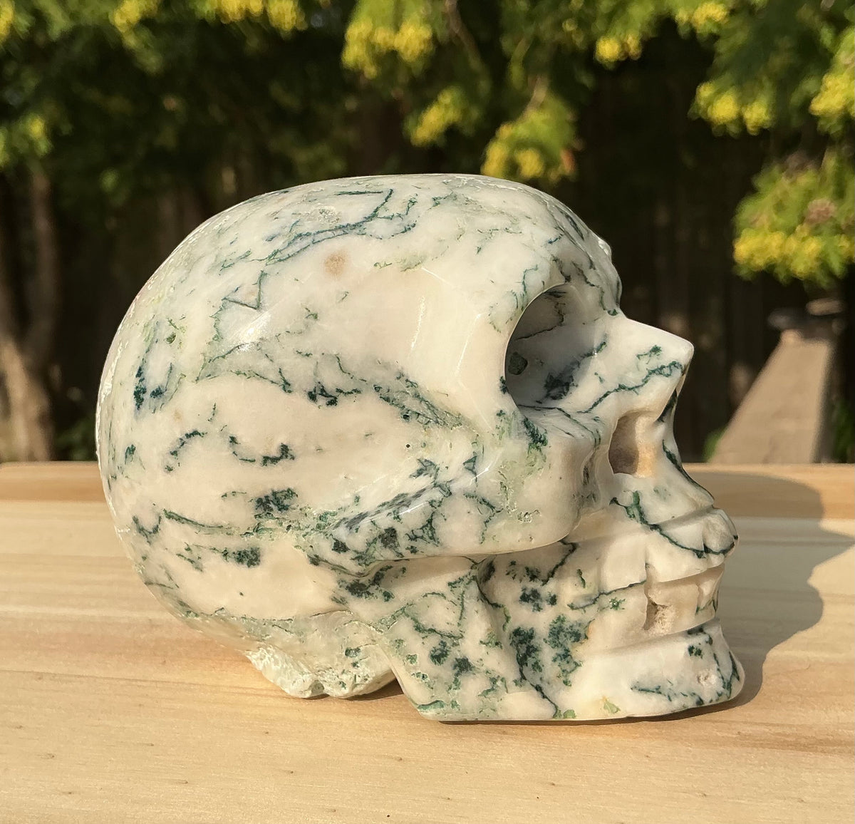 Natural Moss Agate Medium Skull- Unique Textured/Raw Areas