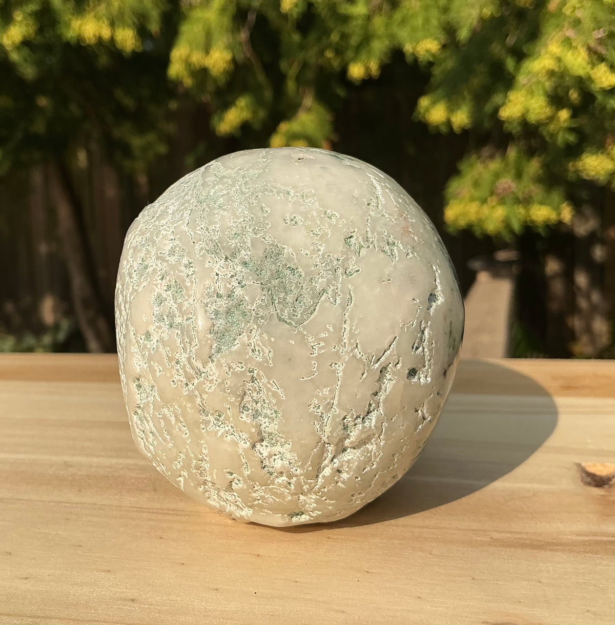 Natural Moss Agate Medium Skull- Unique Textured/Raw Areas