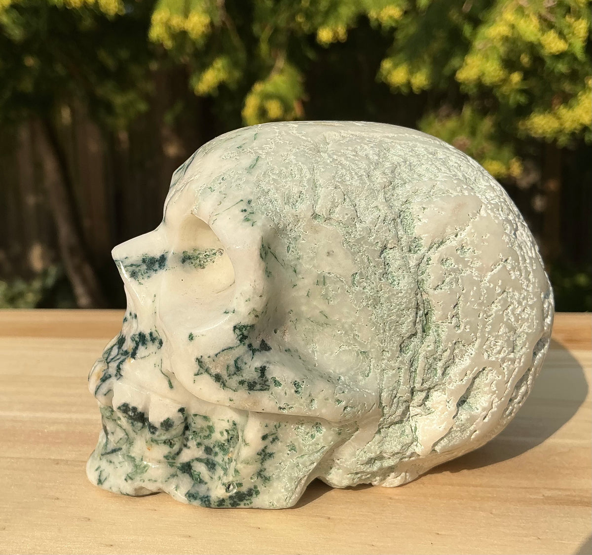 Natural Moss Agate Medium Skull- Unique Textured/Raw Areas