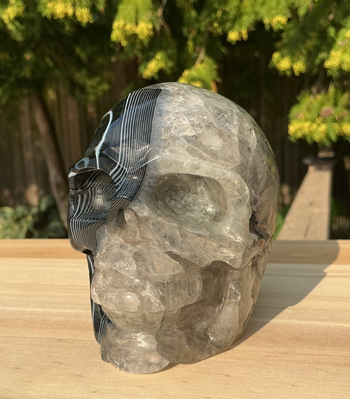 Unique Black Banded Agate Skull 1.5 lbs