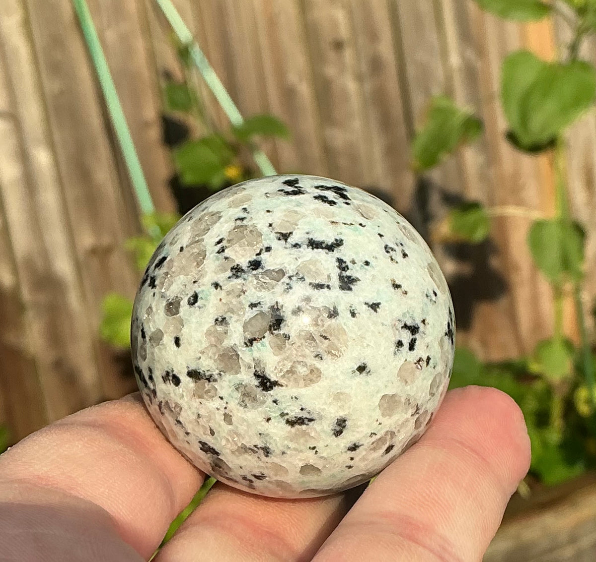 Cute Small Kiwi Jasper Crystal Sphere 40mm