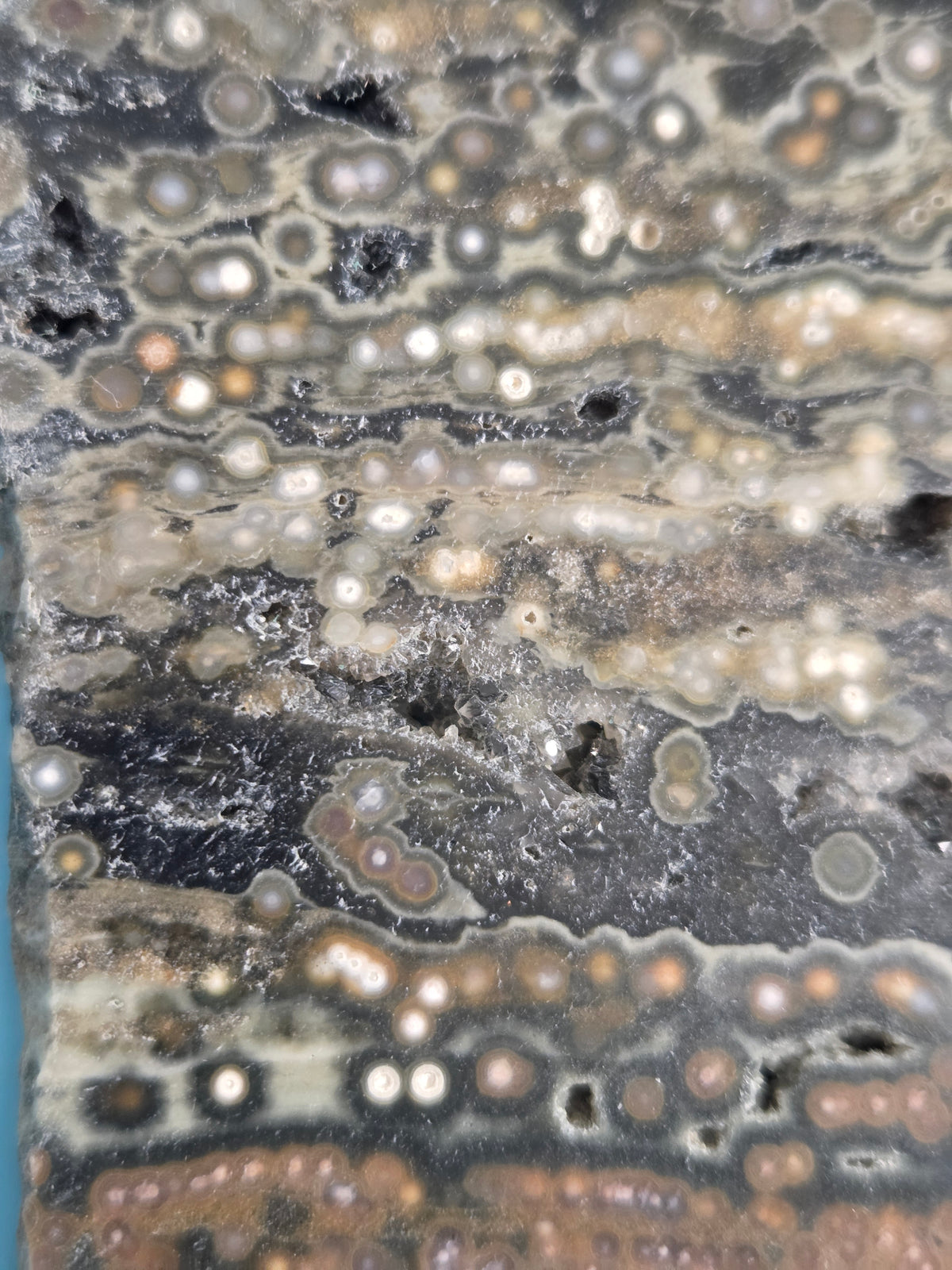 Orbicular Ocean Jasper Slice with Druzy Pockets Hand-Polished