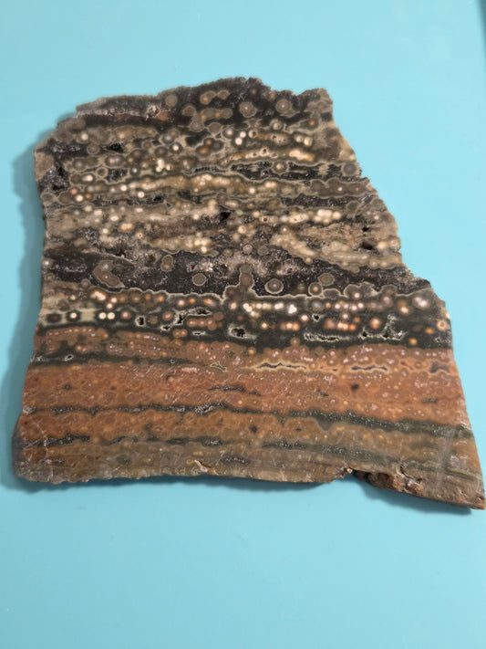 Orbicular Ocean Jasper Slice with Druzy Pockets Hand-Polished